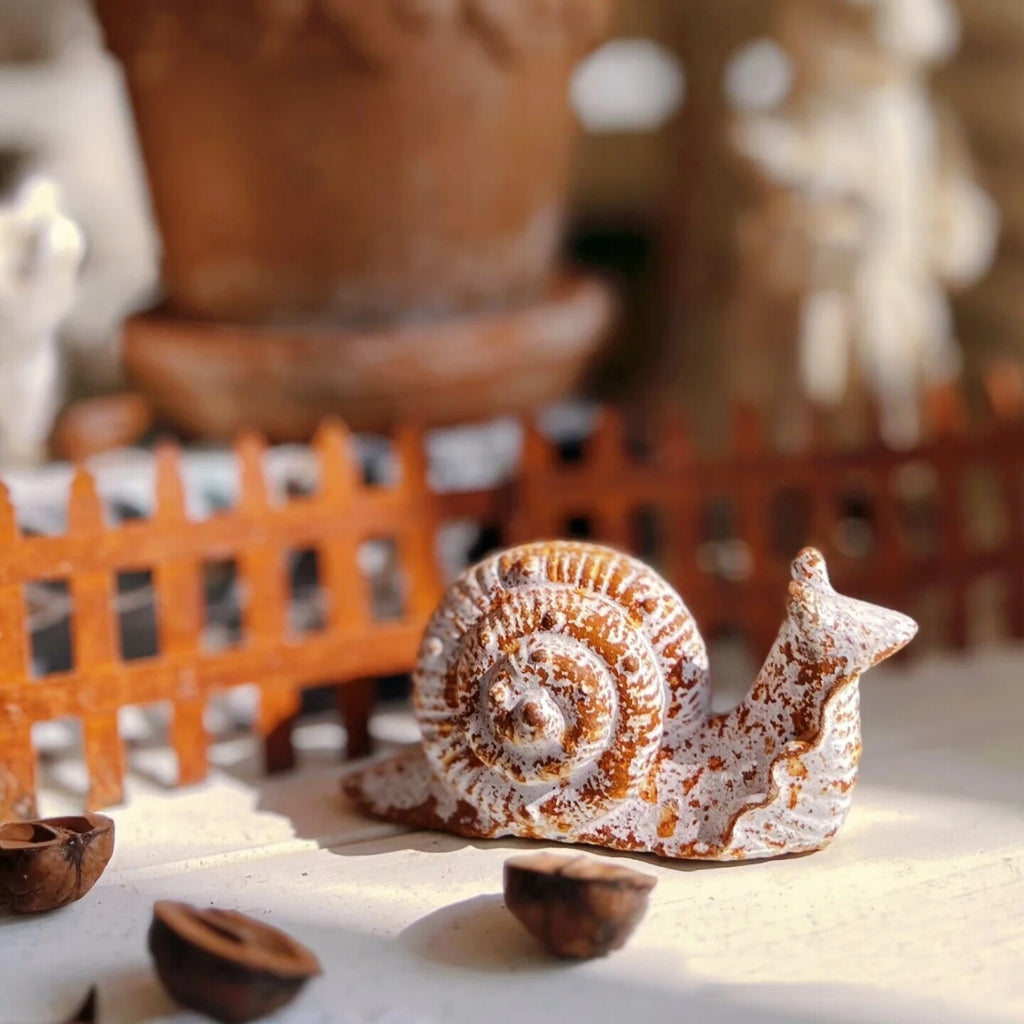 Little snail