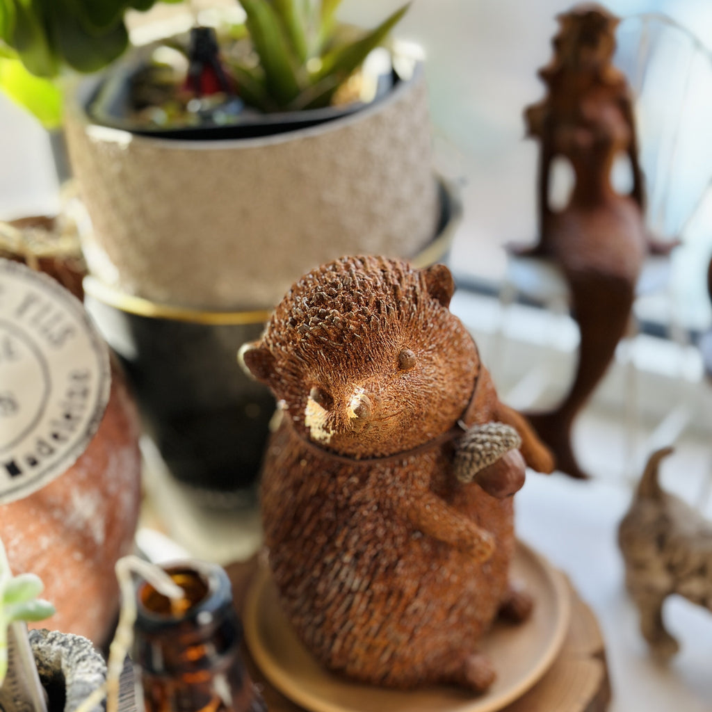 Hans the Little Hedgehog