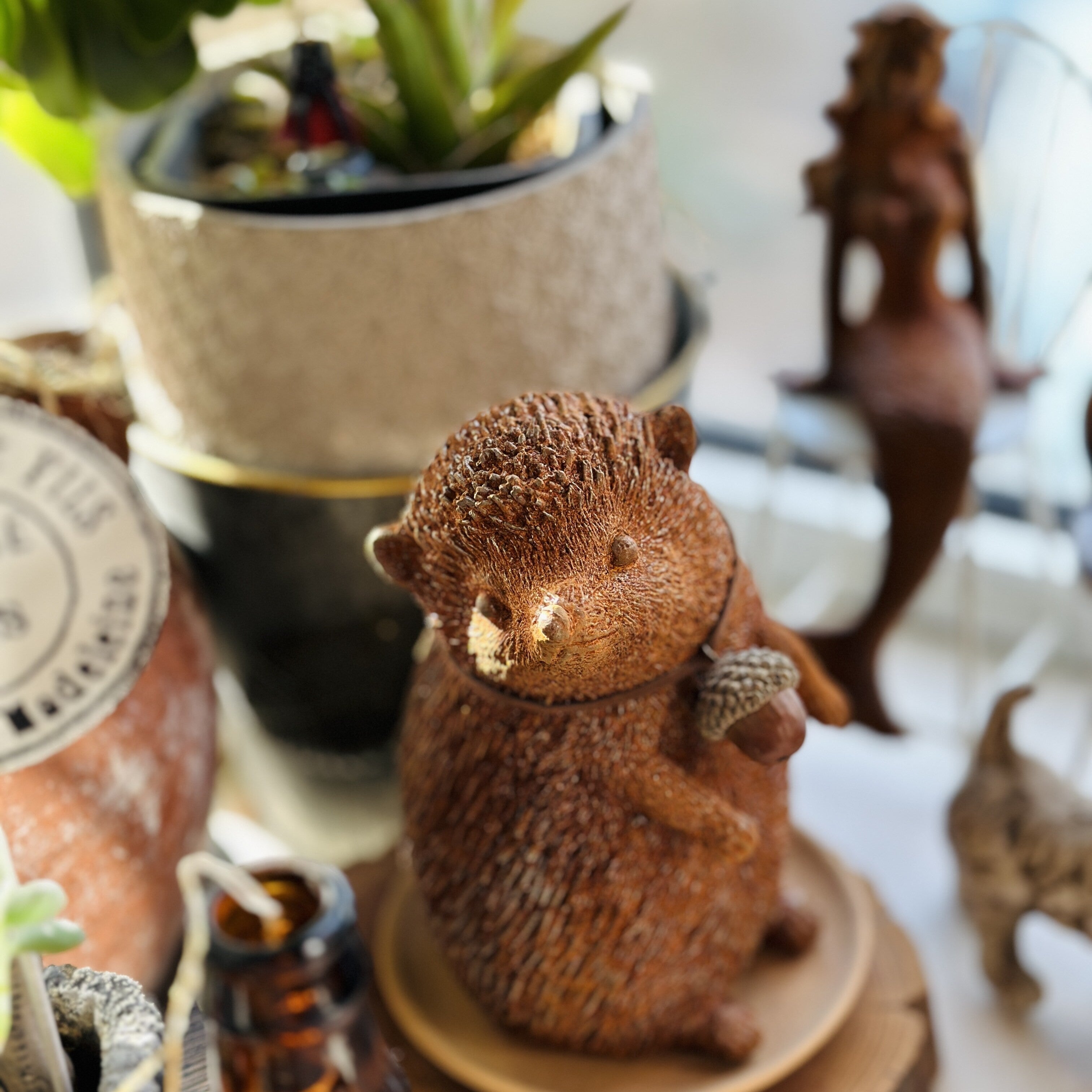 Hans the Little Hedgehog
