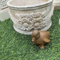 Baby ducks