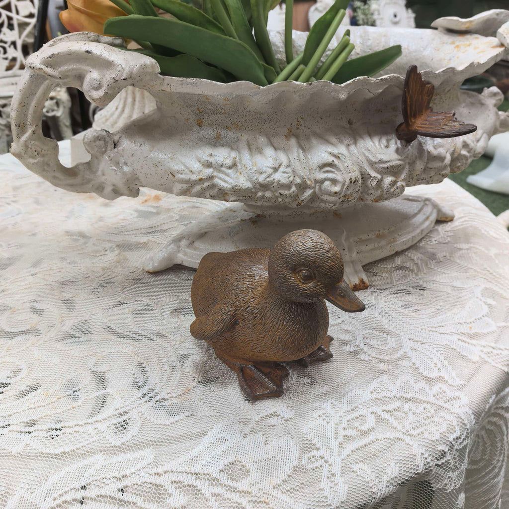 Baby ducks
